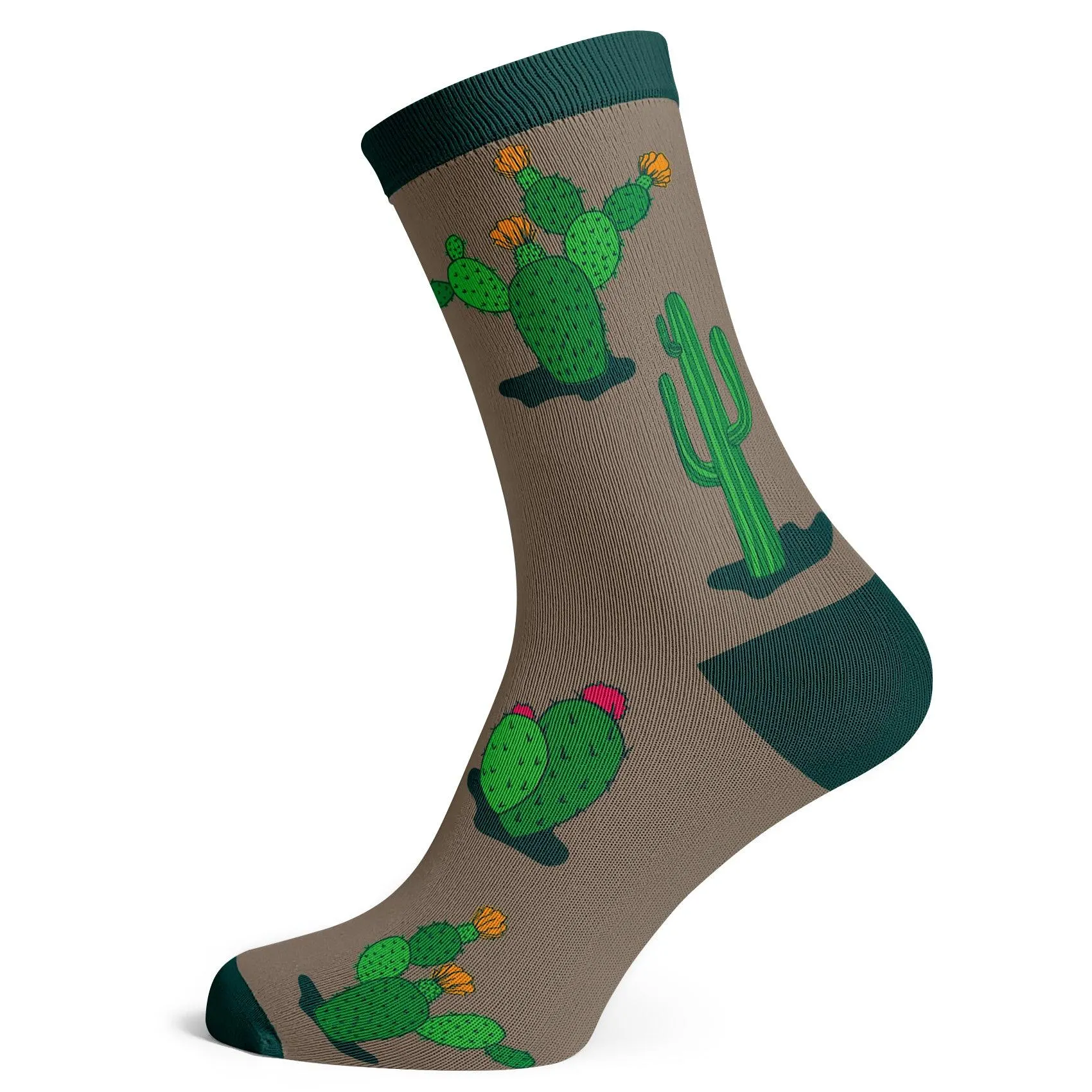 Cacti Socks