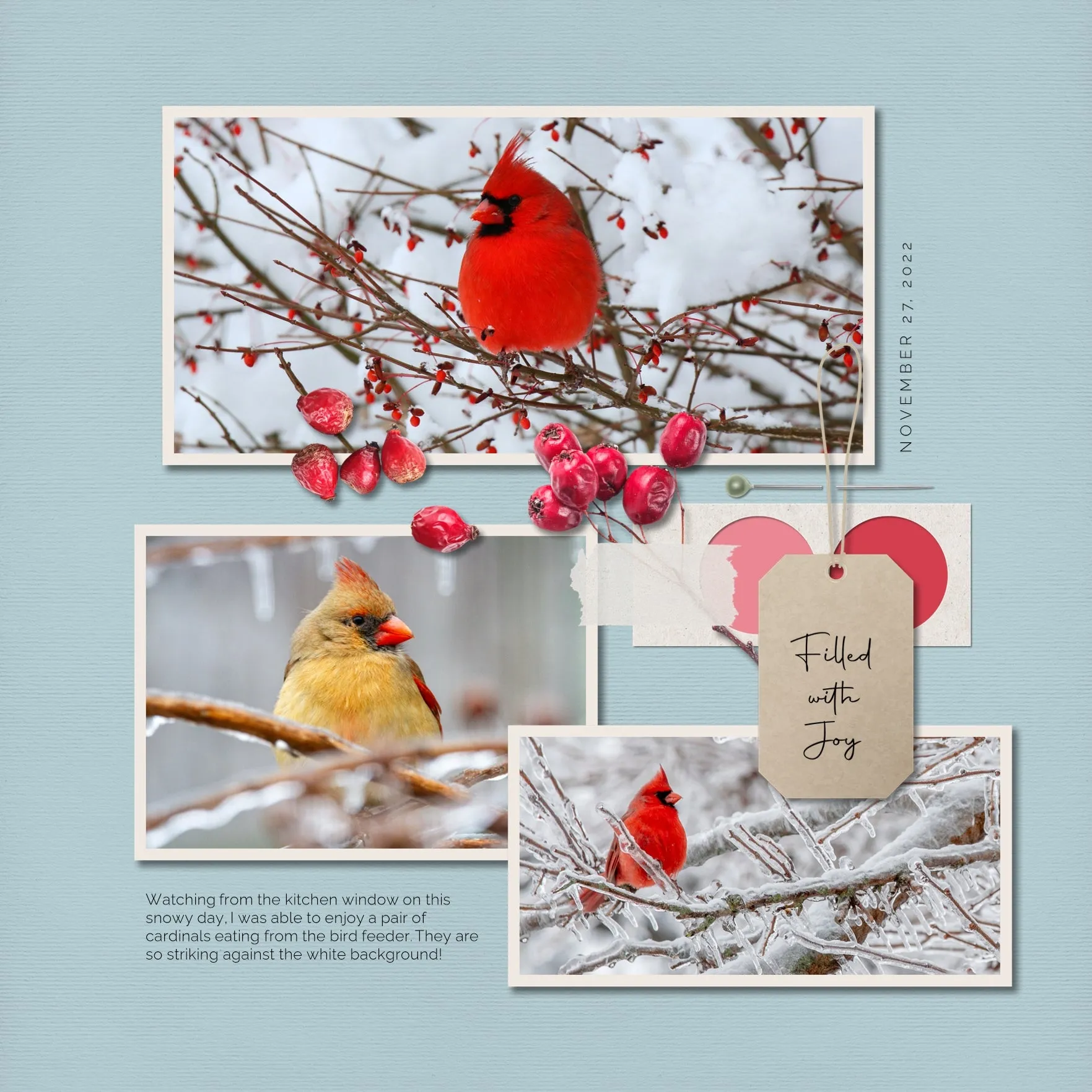 Color Story Page Builder 2 Digital Scrapbook Kit