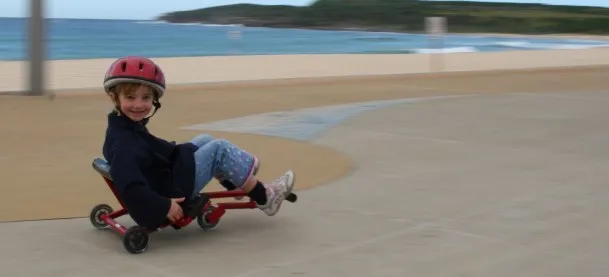 EzyRoller Classic