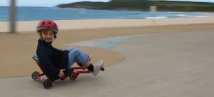 EzyRoller Classic