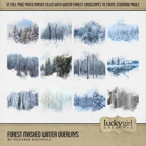 Forest Masked Winter Overlays Digital Scrapbook Kit