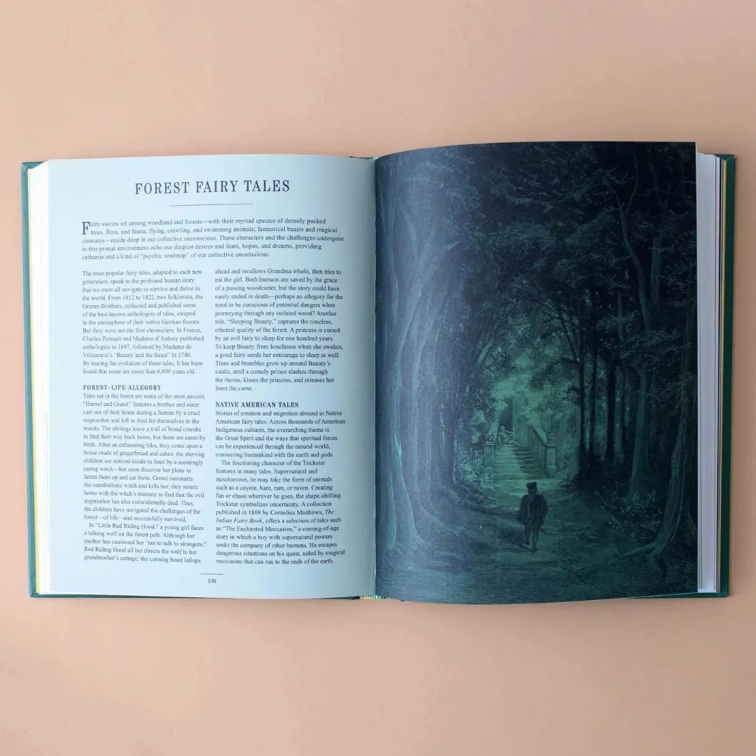 Forest School for Grown-Ups: Explore the Wisdom of the Woods