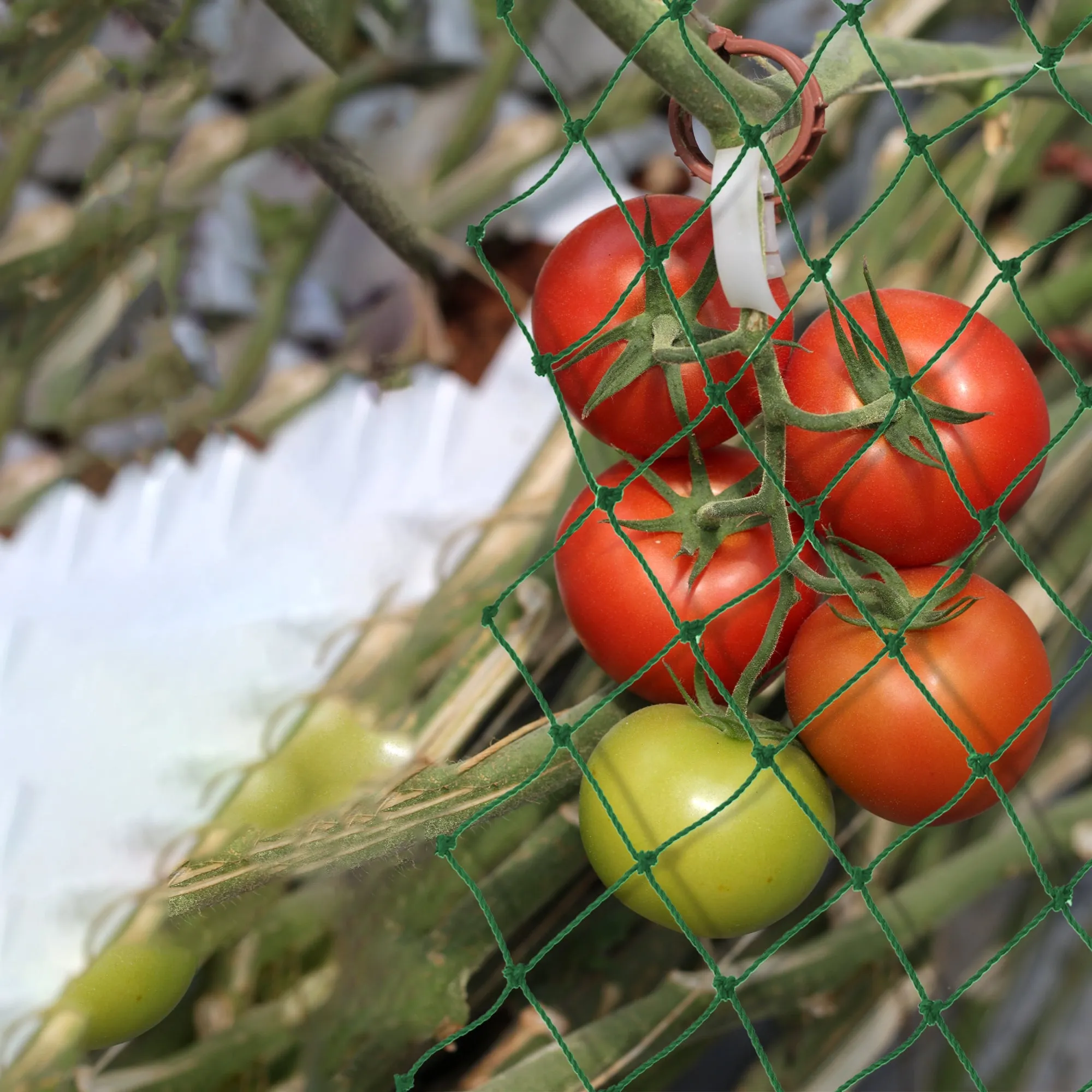Garden Netting