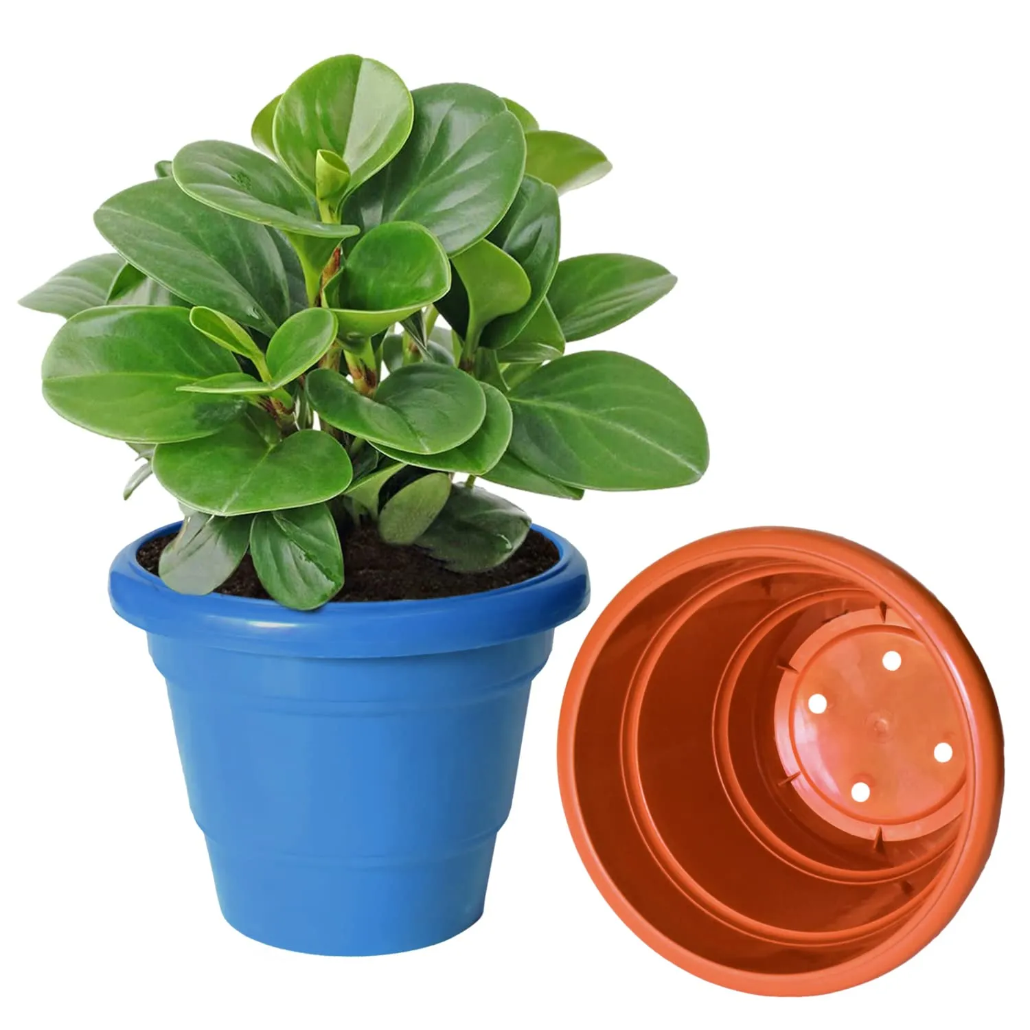 Heart Home Solid 2 Layered Plastic Flower Pot|Gamla for Home Decor,Nursery,Balcony,Garden,6"x5",Pack of 3 (Orange & Green & Blue)