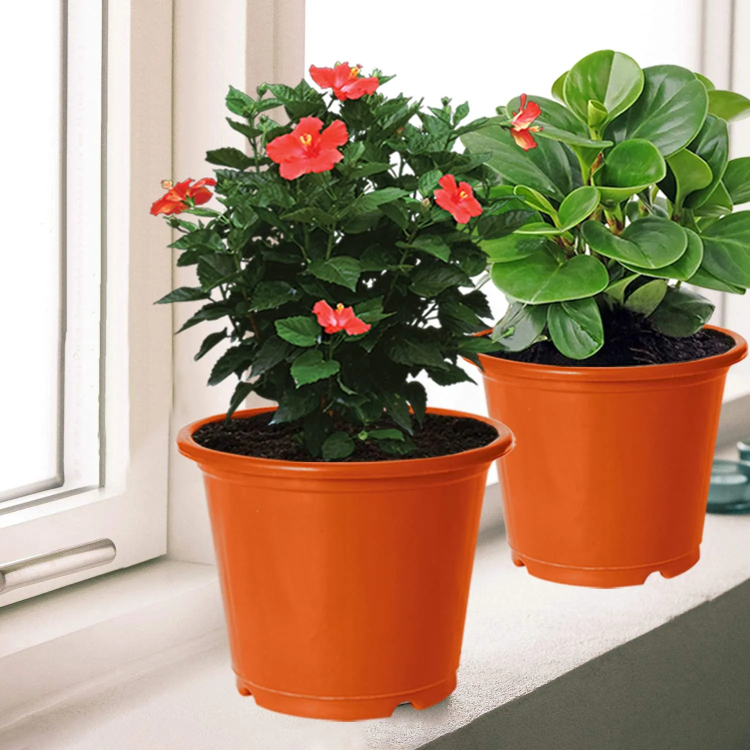 Kuber Industries Durable Plastic Flower Pot|Gamla with Drain Holes for Indoor Home Decor & Outdoor Balcony,Garden,6"x5",Pack of 8 (Orange)