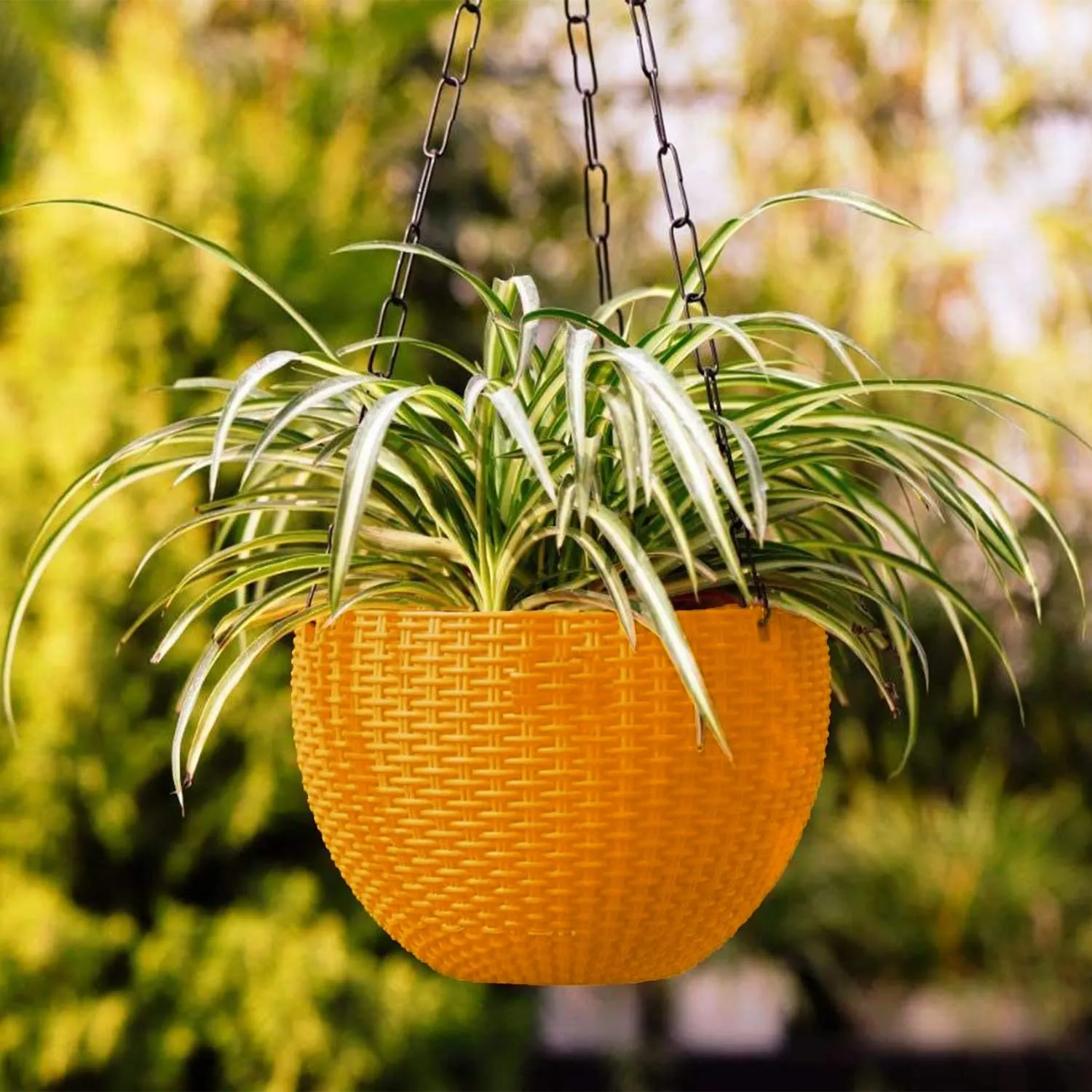 Kuber Industries Plastic Hanging Flower Pot for Balcony & Railing Set of 5 (Multicolour) 53KM3854