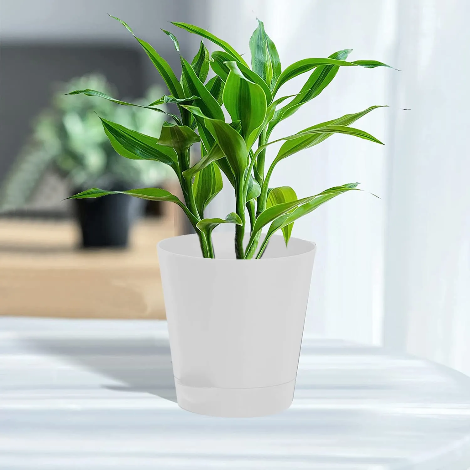 Kuber Industries Plastic Titan Pot|Garden Container for Plants & Flowers|Self-Watering Pot with Drainage Holes,6 Inch,Pack of 2 (White)