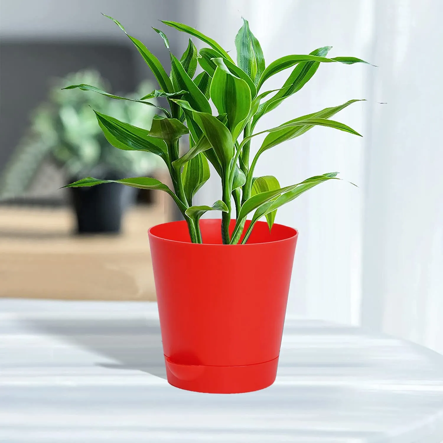 Kuber Industries Plastic Titan Pot|Garden Container for Plants & Flowers|Self-Watering Pot with Drainage Holes,6 Inch,Pack of 3 (Red)
