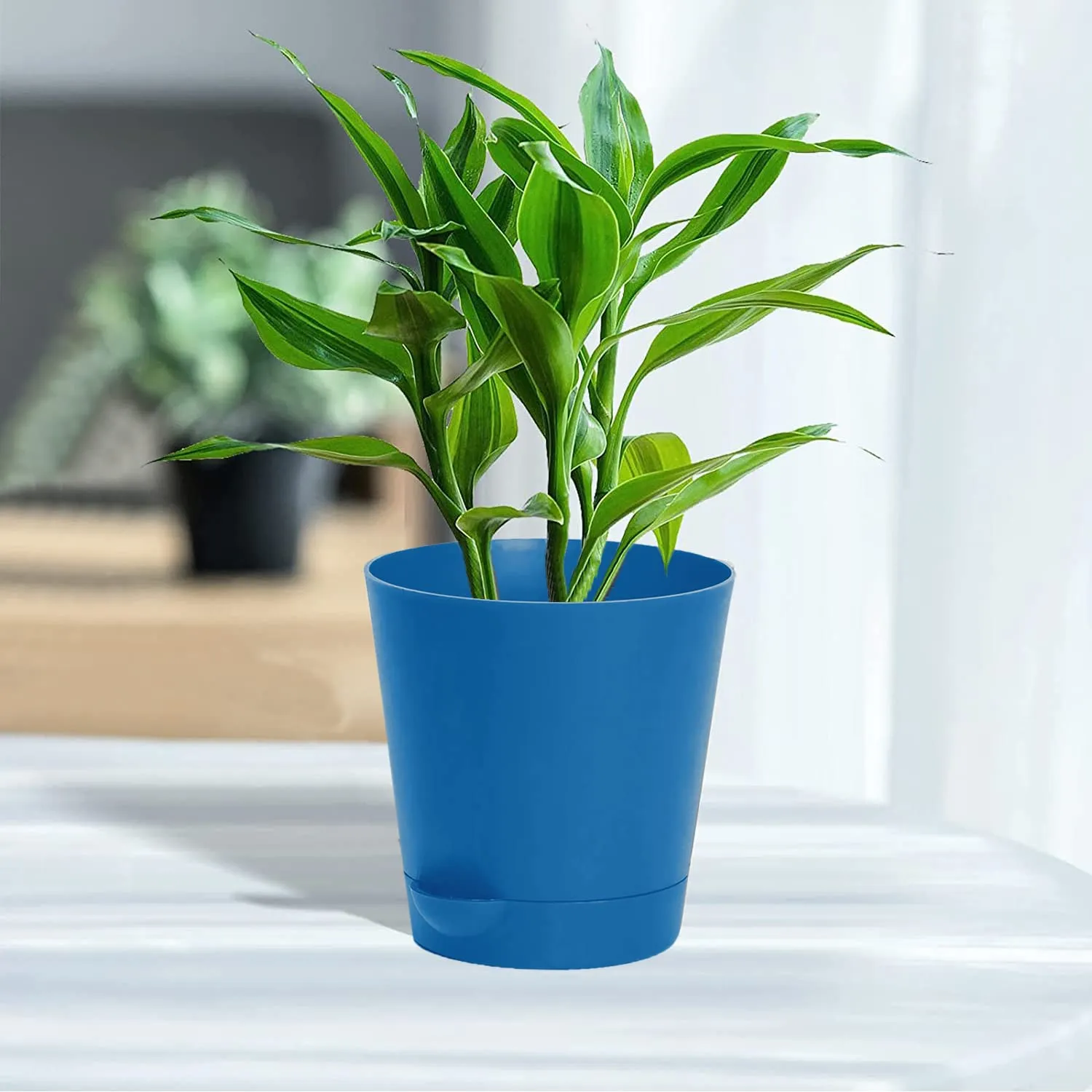Kuber Industries Plastic Titan Pot|Garden Container for Plants & Flowers|Self-Watering Pot with Drainage Holes,6 Inch,Pack of 4 (Blue)