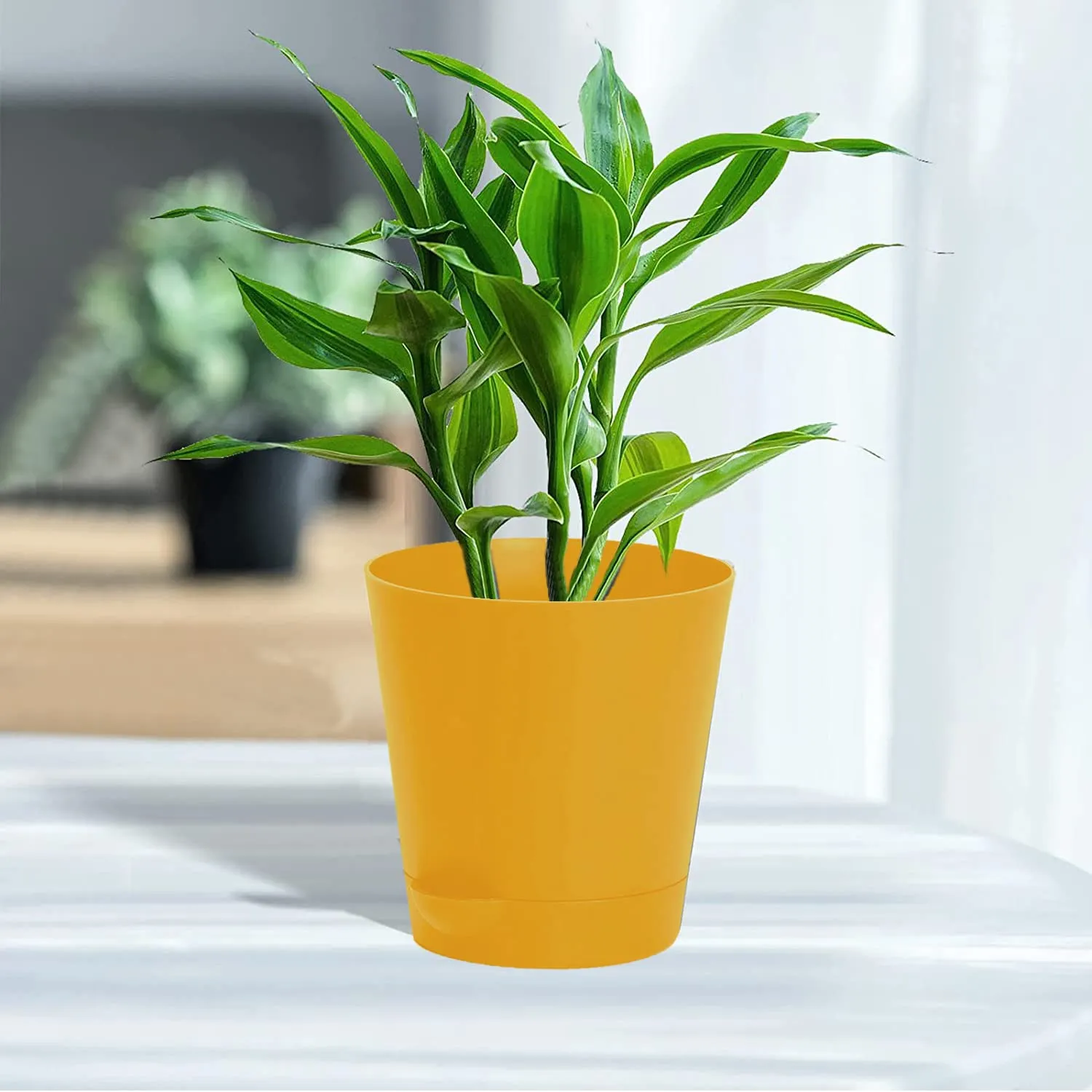 Kuber Industries Plastic Titan Pot|Garden Container for Plants & Flowers|Self-Watering Pot with Drainage Holes,6 Inch,Pack of 4 (Yellow)