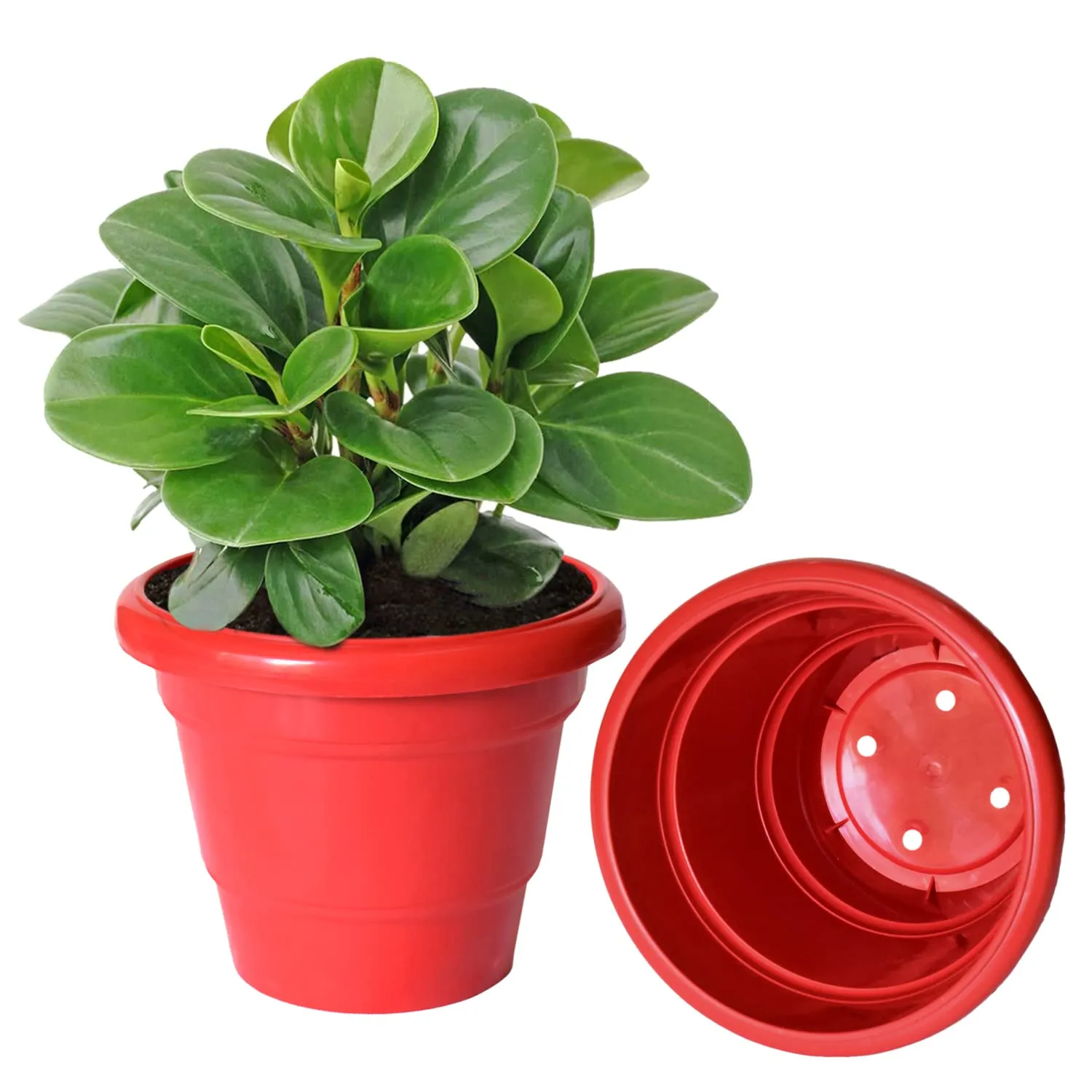Kuber Industries Solid 2 Layered Plastic Flower Pot|Gamla for Home Decor,Nursery,Balcony,Garden,6"x5",Pack of 10 (Red)