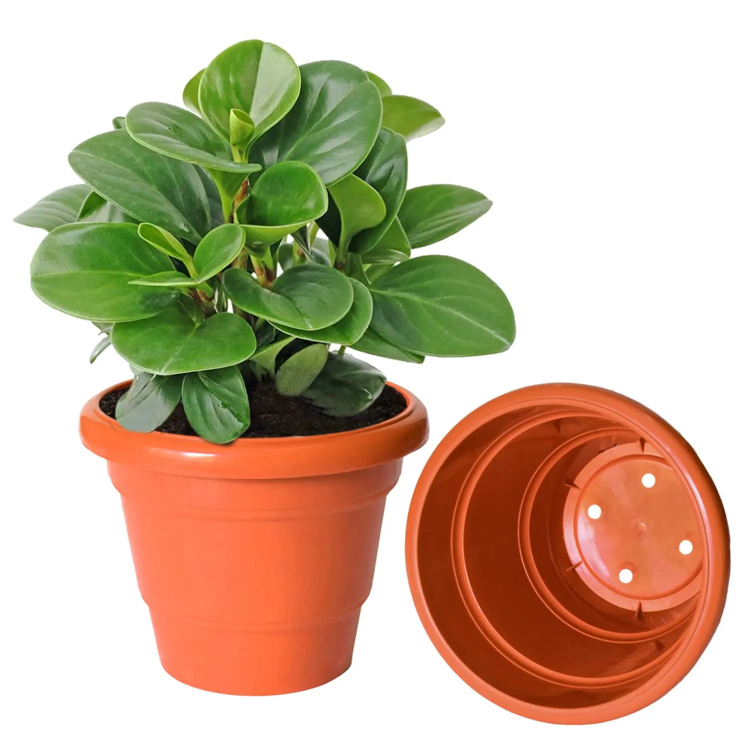 Kuber Industries Solid 2 Layered Plastic Flower Pot|Gamla for Home Decor,Nursery,Balcony,Garden,6"x5",Pack of 8 (Orange)