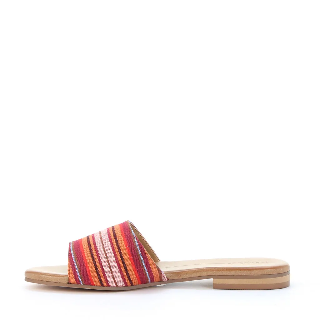 Mini Slides