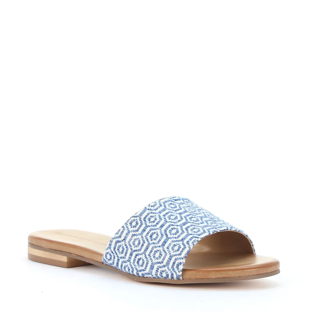 Mini Slides