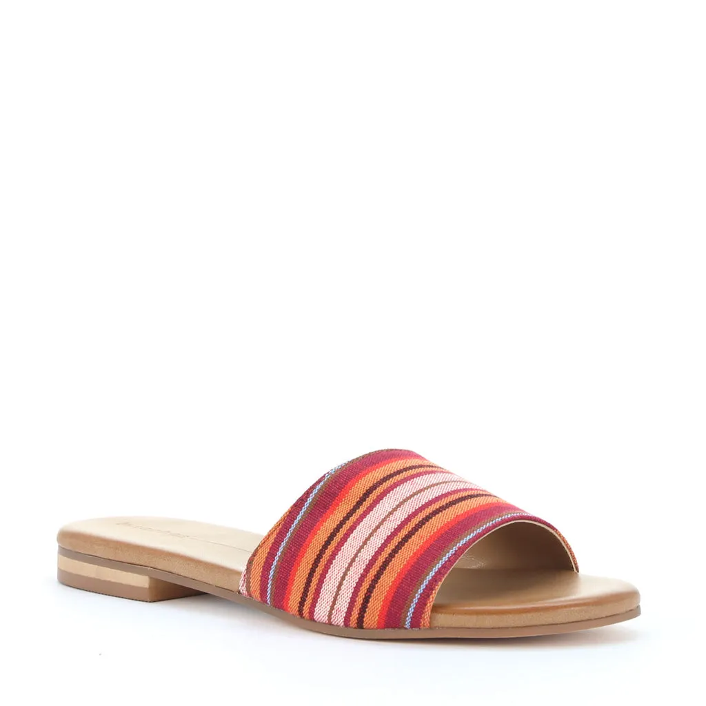 Mini Slides