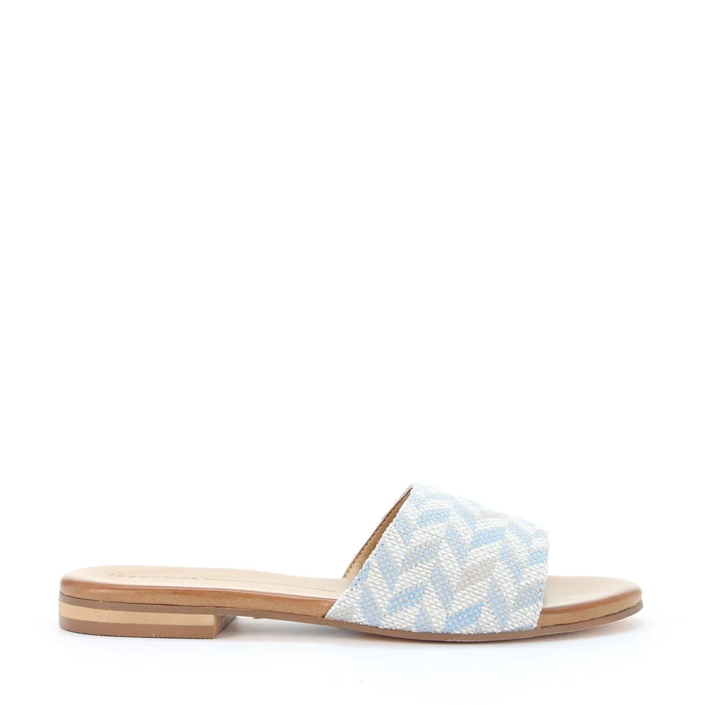 Mini Slides