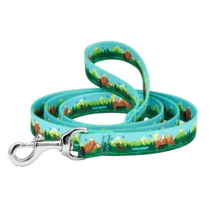 Sport Leash | Get Outdoors