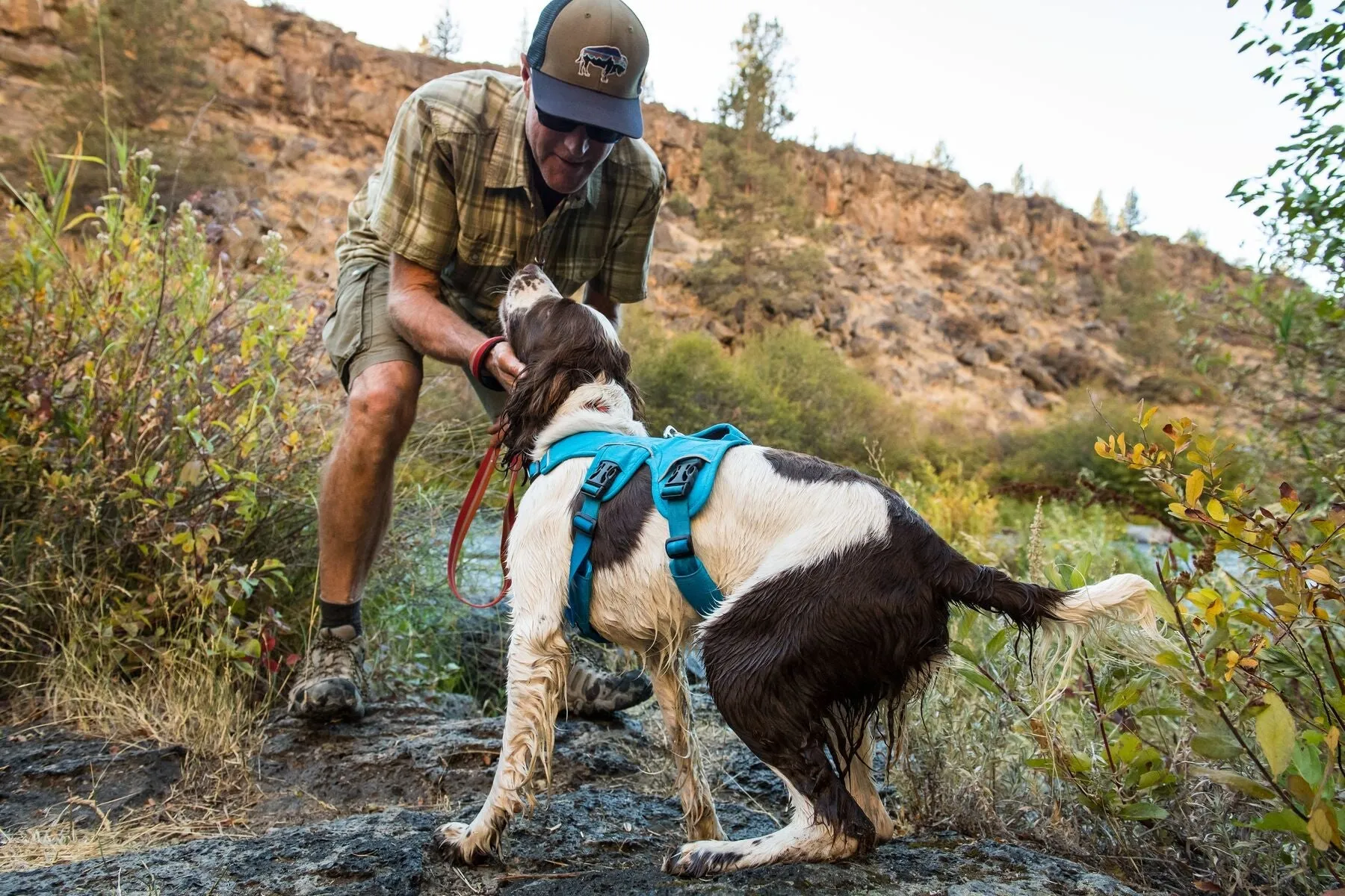 Web Master™ Secure Multi-Function Handled Dog Harness