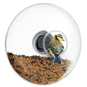 Window Bird Feeder